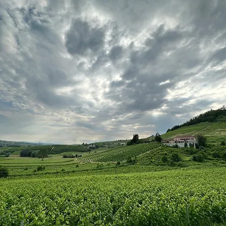 Casa Bianchetti, Costigliole D 'asti
